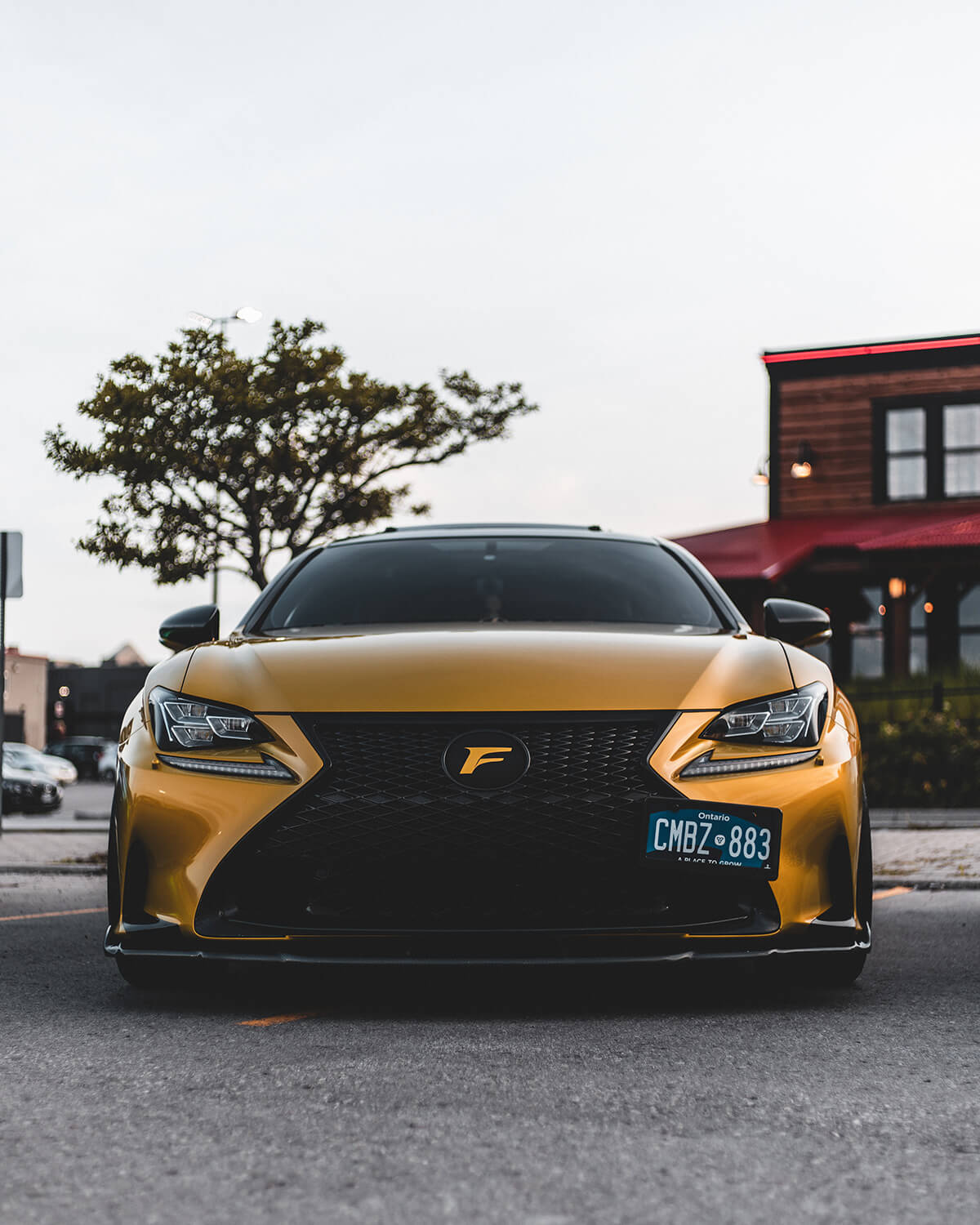 Stanced Lexus RCF with gold vinyl wrap